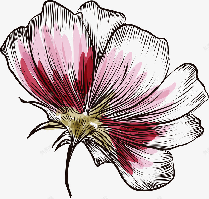 粉色线条花朵png免抠素材_新图网 https://ixintu.com 免抠PNG 简约 粉色 线条 美丽 花朵 装饰图案
