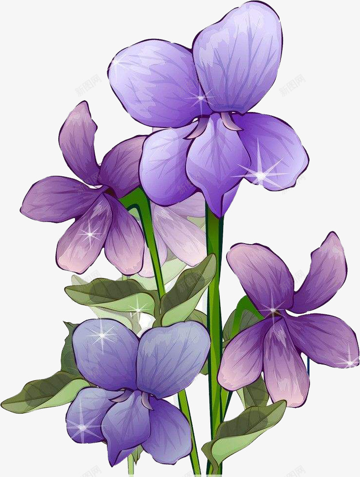 绽放的紫罗兰png免抠素材_新图网 https://ixintu.com 手绘 手绘紫罗兰 植物 紫罗兰 紫罗兰卡通 紫色 绿色 美丽 花朵 芳香