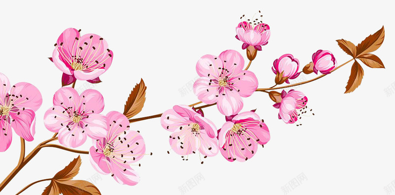 卡通手绘粉色桃花png免抠素材_新图网 https://ixintu.com 创意 卡通手绘 树叶 粉色 美丽的桃花 花朵