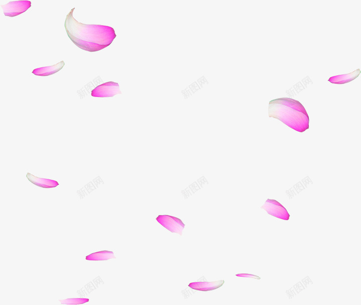 粉色漂浮花瓣可爱png免抠素材_新图网 https://ixintu.com 可爱 漂浮 粉色 花瓣 设计