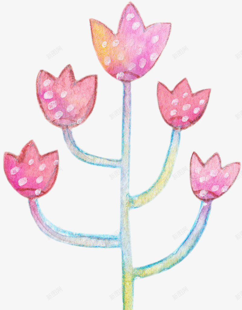 水彩粉红色花朵图案png免抠素材_新图网 https://ixintu.com 手绘图 桔梗 水彩 美丽的 花卉 花朵 装饰