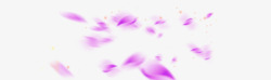 紫色浪漫花瓣漂浮素材