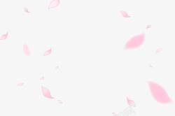 粉红色花瓣婚礼素材
