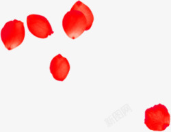 红色玫瑰花瓣散落漂浮素材