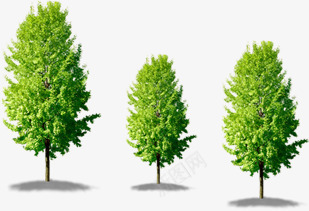 绿色大树环保装饰png免抠素材_新图网 https://ixintu.com 大树 环保 绿色 装饰