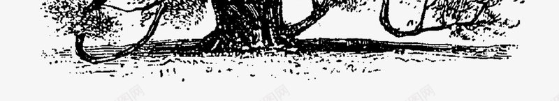 枝叶繁茂的树png免抠素材_新图网 https://ixintu.com 创意树木 大树 手绘树木 树木PNG 树木设计 白描树木
