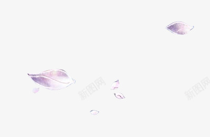 花瓣漂浮png免抠素材_新图网 https://ixintu.com 漂浮 点缀 紫色 花瓣