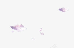 白色花瓣漂浮的花瓣素材