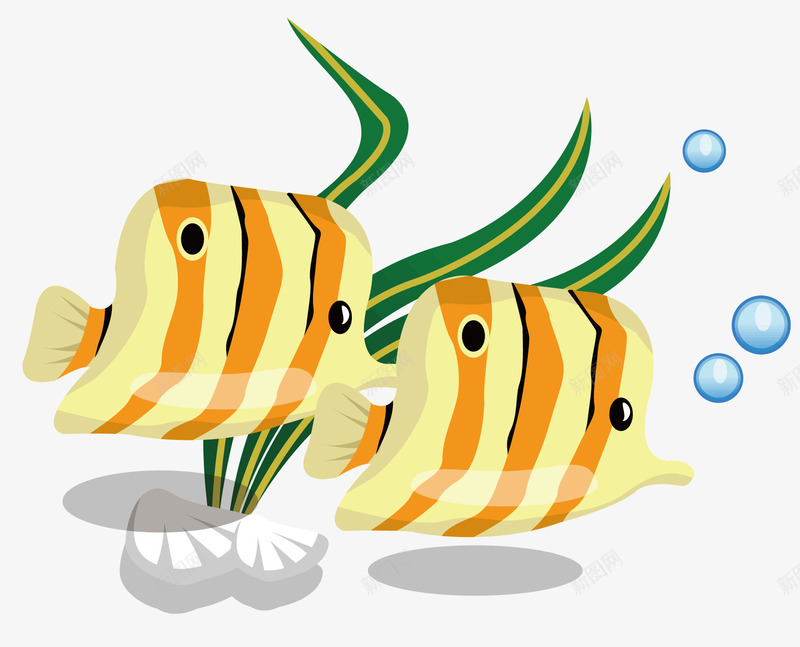两条可爱的小鱼矢量图ai免抠素材_新图网 https://ixintu.com 夏天 橘黄色的斑纹 泡泡 海草 绿色的叶子 黄色的身体 矢量图