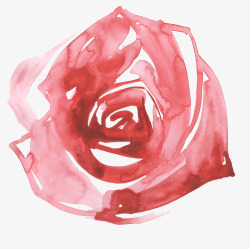 粉红色的玫瑰水彩素材