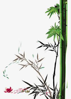 绿色水珠素材竹林听雨高清图片