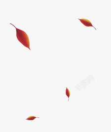 秋叶漂浮漂浮秋叶高清图片