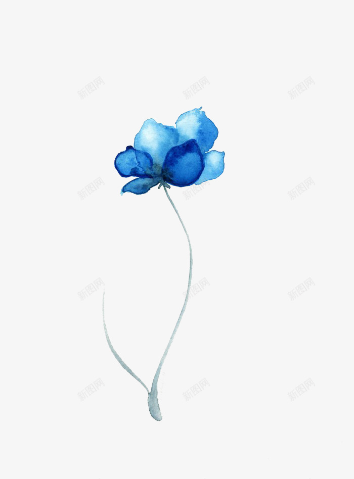 手绘的植物花卉装饰png免抠素材_新图网 https://ixintu.com 植物 背景 自然 花
