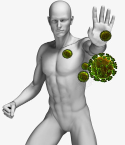 分裂人体免疫功能高清图片