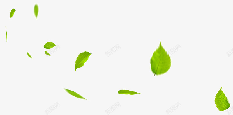 树叶绿色漂浮树叶植物png免抠素材_新图网 https://ixintu.com 树叶 植物 漂浮 绿色