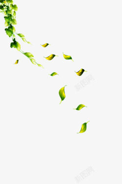 树叶漂浮图素材
