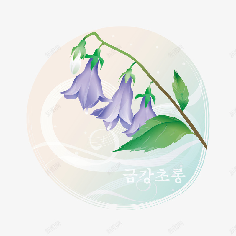 紫色百合花标签图png免抠素材_新图网 https://ixintu.com 叶子 桔梗 百合花 美丽的 花朵 花瓣 装饰 边框
