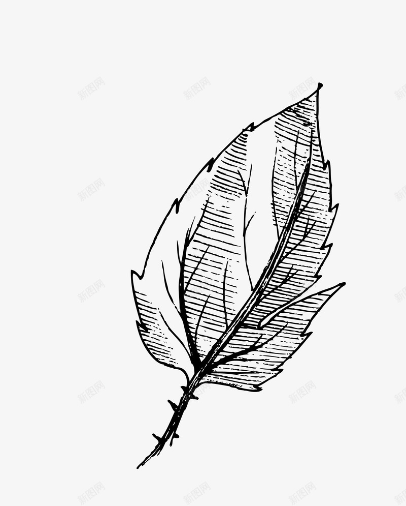 卡通手绘树叶png免抠素材_新图网 https://ixintu.com 卡通 手绘 插画 树叶 植物 简笔画 自然 黑色