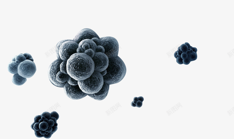 分裂的细胞png免抠素材_新图网 https://ixintu.com 分裂 实验 彩色 显微镜 生物 生物科研 病毒 研究 科技 细胞