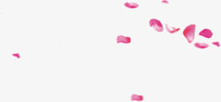 粉色花瓣的漂浮效果素材