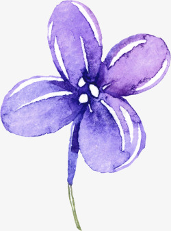 紫色的丁香花漂浮花高清图片