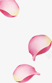 粉色温馨花瓣漂浮png免抠素材_新图网 https://ixintu.com 温馨 漂浮 粉色 花瓣