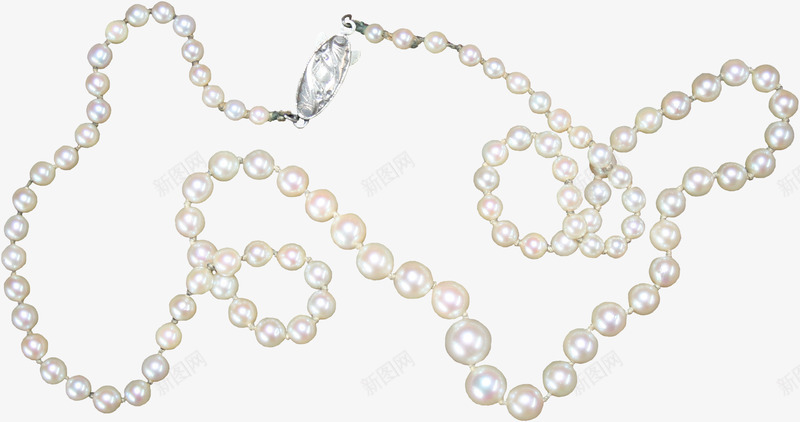 珍珠项链png免抠素材_新图网 https://ixintu.com 女士 漂亮 珍珠 白色 装饰品 装饰图案 链子 项链