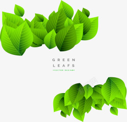 清新绿色背景上的树叶装饰矢量图素材