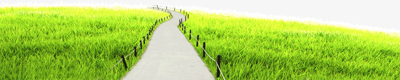 草坪上的小路png免抠素材_新图网 https://ixintu.com 绿色 草坪 草坪上的小路 路 道路