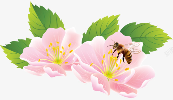 粉色樱花png免抠素材_新图网 https://ixintu.com 叶子 手绘 樱花 漂浮 粉色 蜜蜂 装饰