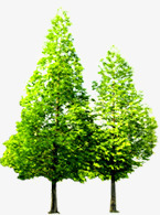 夏季绿色大树景观png免抠素材_新图网 https://ixintu.com 夏季 大树 景观 绿色
