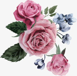 多彩玫瑰花春暖花开美丽花朵装饰高清图片