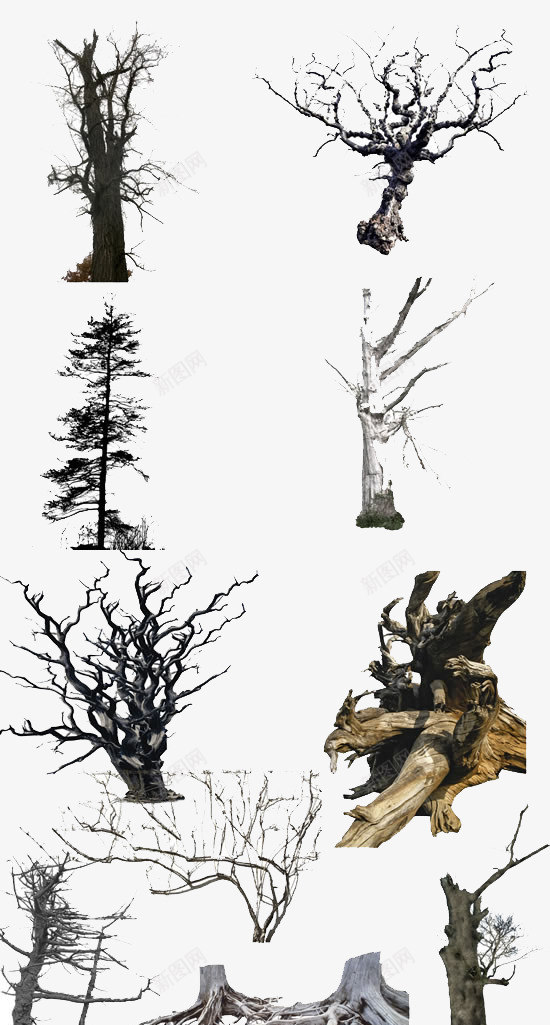 4种枯树png免抠素材_新图网 https://ixintu.com 大树 干枯 枯树 没有浇水的树