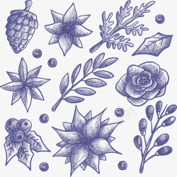 冬季树叶素描手绘冬季花草高清图片