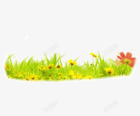 绿色的草和小花png免抠素材_新图网 https://ixintu.com 嫩绿 小花 清新 自然 草 黄色