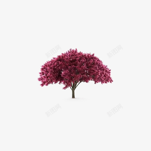 一棵大树png免抠素材_新图网 https://ixintu.com 免扣PNG 创意 小清新 植物 简约 红色的树 设计感