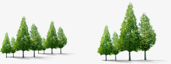 绿树清爽大树景观素材