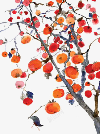 水彩柿子png免抠素材_新图网 https://ixintu.com 中国风 卡通大树 小树 手绘大树 水彩大树