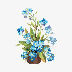 花瓶里的花朵花瓶里的蓝色小花朵高清图片