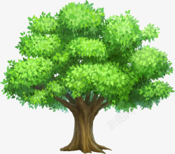 绿色茂密生长大树素材
