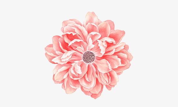 花卉花朵png免抠素材_新图网 https://ixintu.com 化妆美容 清香 漂亮 粉红 美丽 花 花卉 花朵 鲜艳