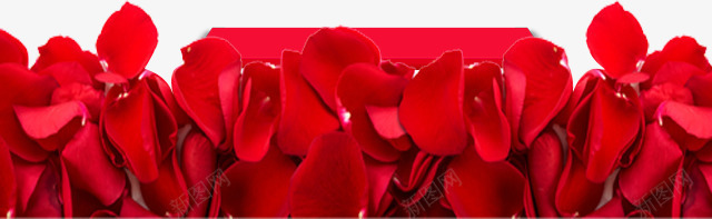红色花瓣png免抠素材_新图网 https://ixintu.com 台面 平台 玫瑰 红色 背景装饰 花瓣