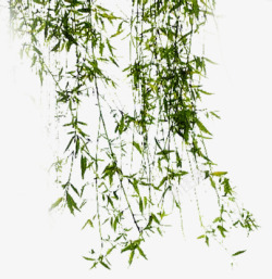 透明绿色漂浮竹叶素材