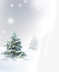 落雪的松树大雪里的松树高清图片