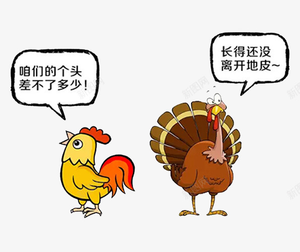 火鸡和公鸡png免抠素材_新图网 https://ixintu.com 公鸡 动物 感恩节 火鸡