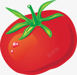 番茄西红柿矢量图素材