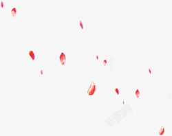 片片飘落春节漂浮红色花瓣高清图片