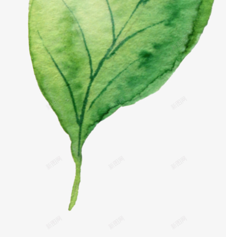 叶子装饰案png免抠素材_新图网 https://ixintu.com 光泽 光滑 卡通 叶子 手绘 植物 渐变 纹理 纹路 线条 绿色 装饰 质感