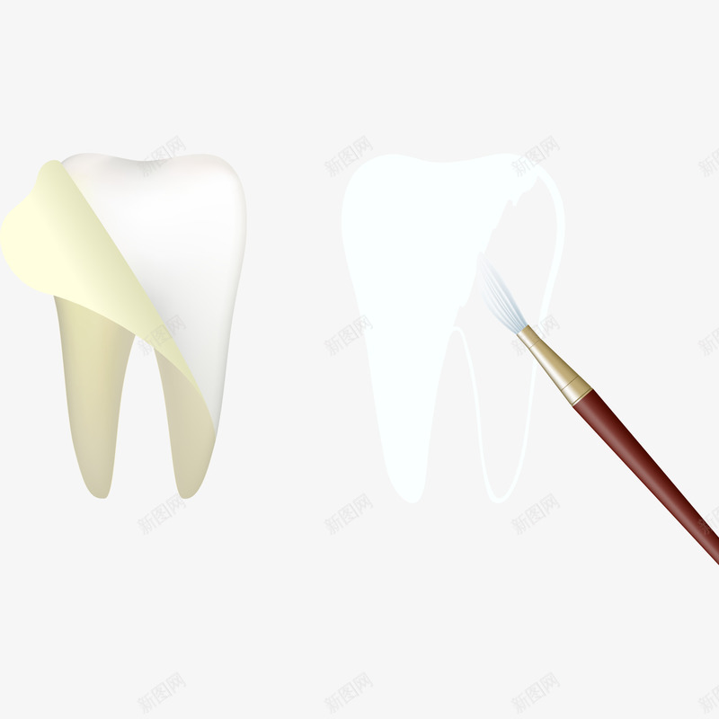 牙科牙齿元素png免抠素材_新图网 https://ixintu.com 展示图 效果元素 牙科 牙齿