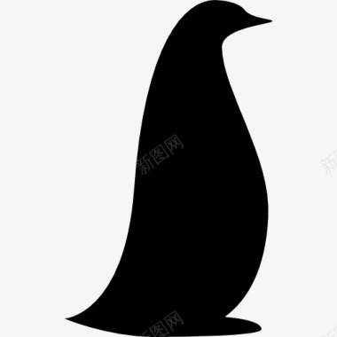 企鹅面临图标图标